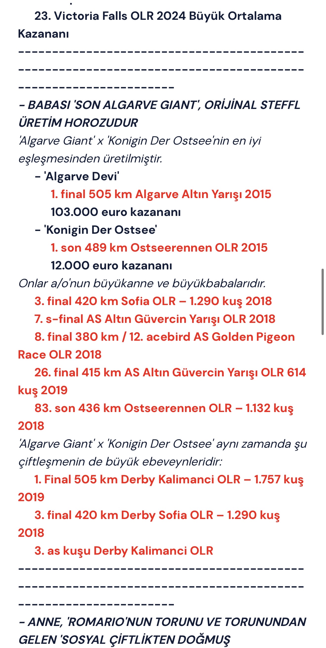 final 96 Süper Ace 45