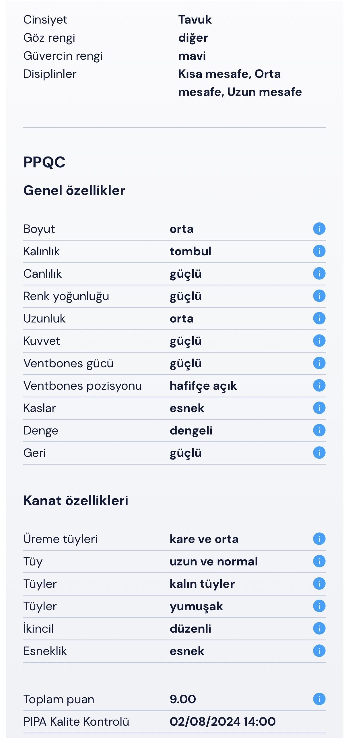 final 96 Süper Ace 45