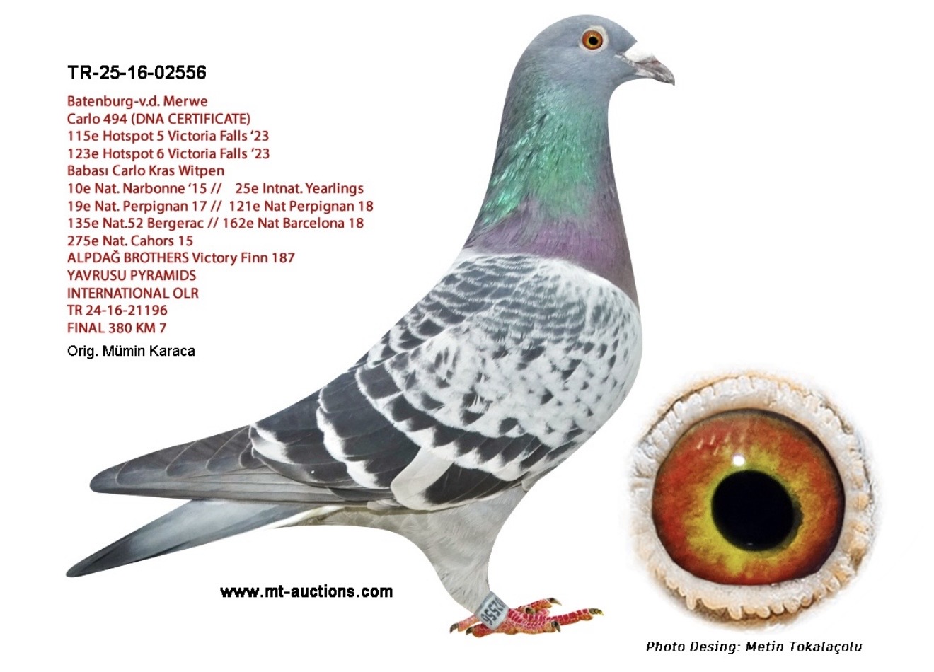 TR 2025-16-02556 