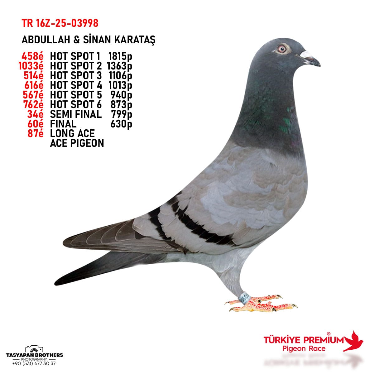 TR-26-16-19452