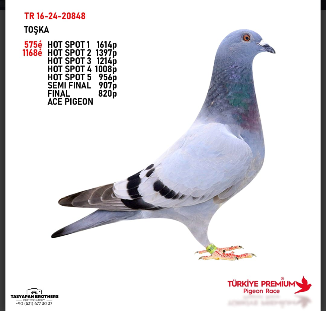 TR 16-24-20848